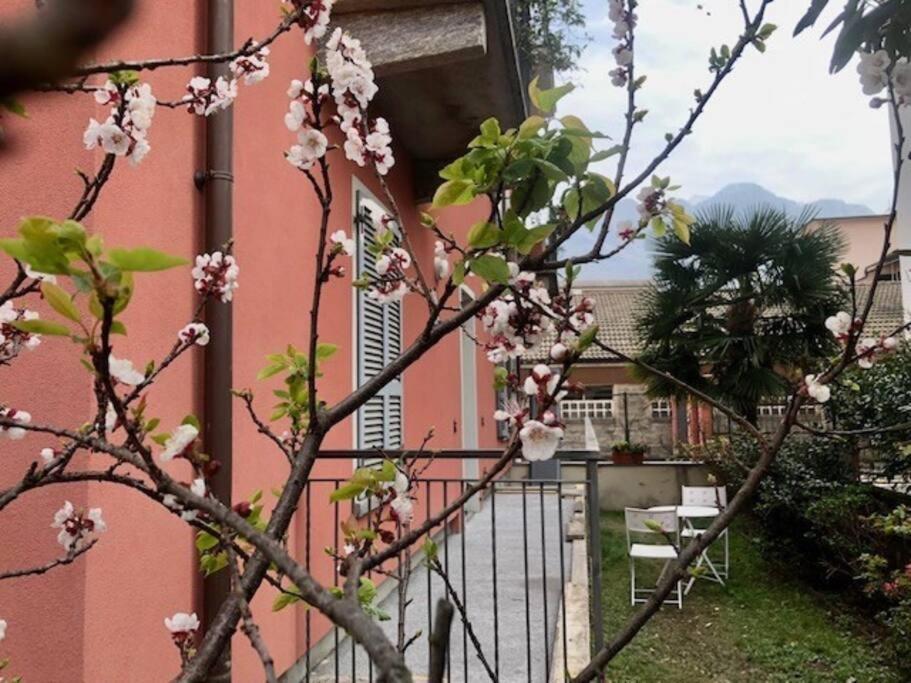 Giuditta Freecarpark&Garden Domodossola Exterior foto