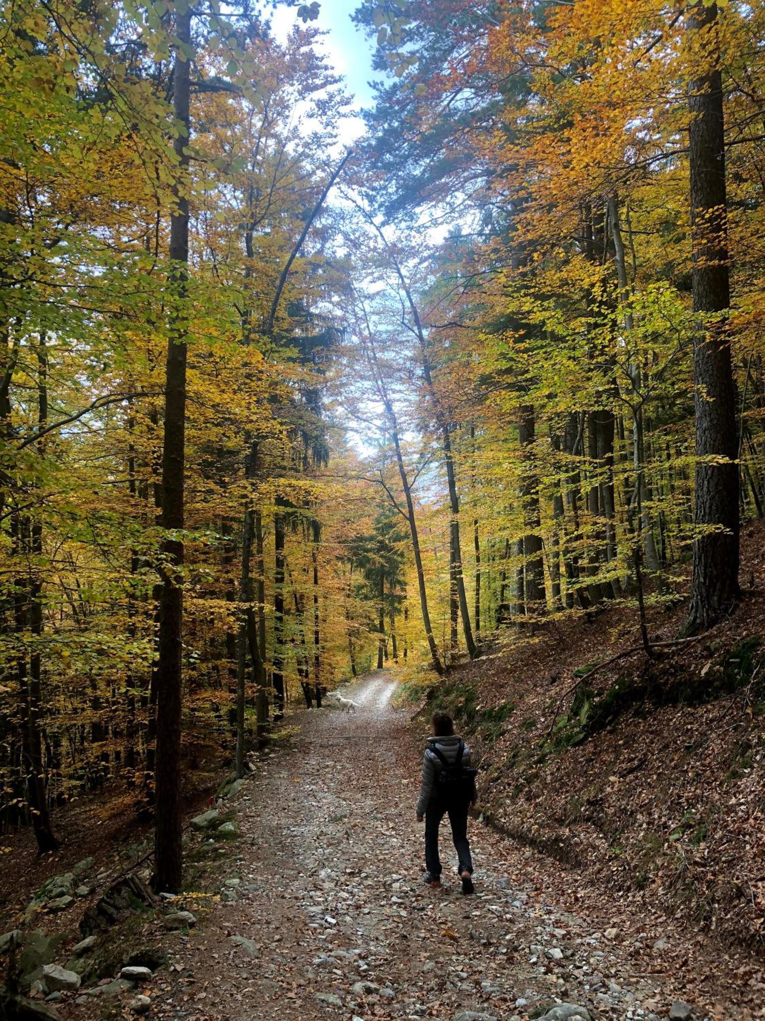 Giuditta Freecarpark&Garden Domodossola Exterior foto